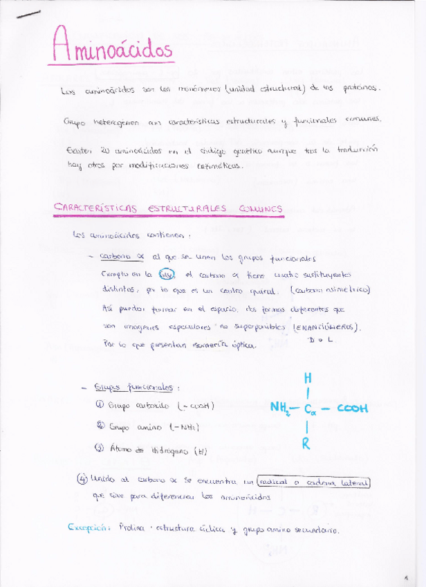 Miniatura del documento Aminoácidos.pdf