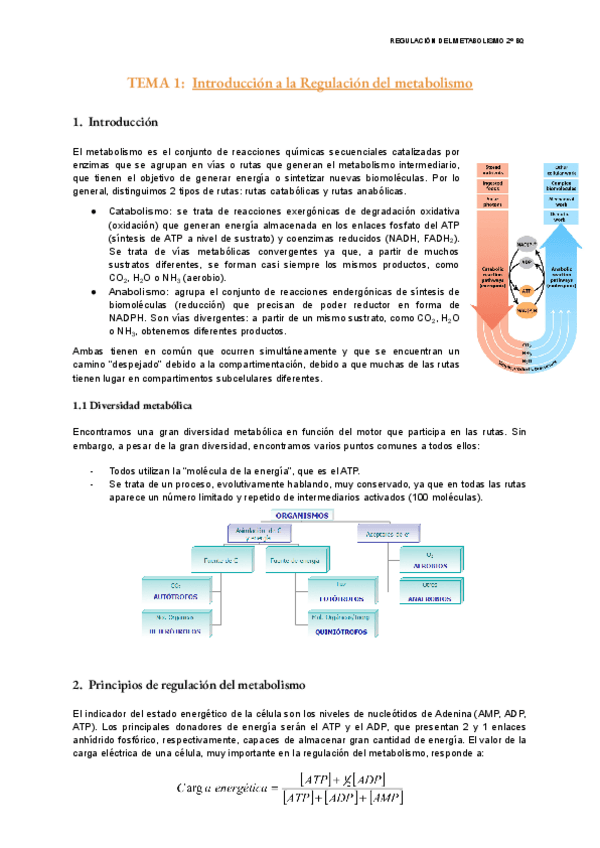 Miniatura del documento TEMA-1-Regulacion.pdf