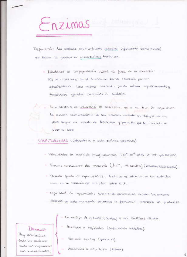 Miniatura del documento Enzimas.pdf