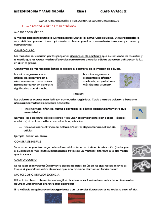 Miniatura del documento TEMA-2.pdf