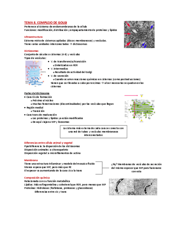 Miniatura del documento T8-Complejo-de-Golgi.pdf