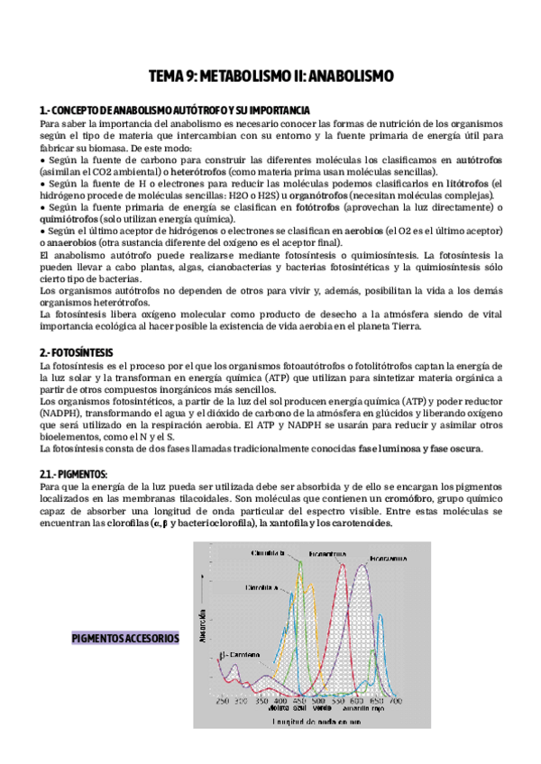 Miniatura del documento Biología-Metabolismo II.pdf
