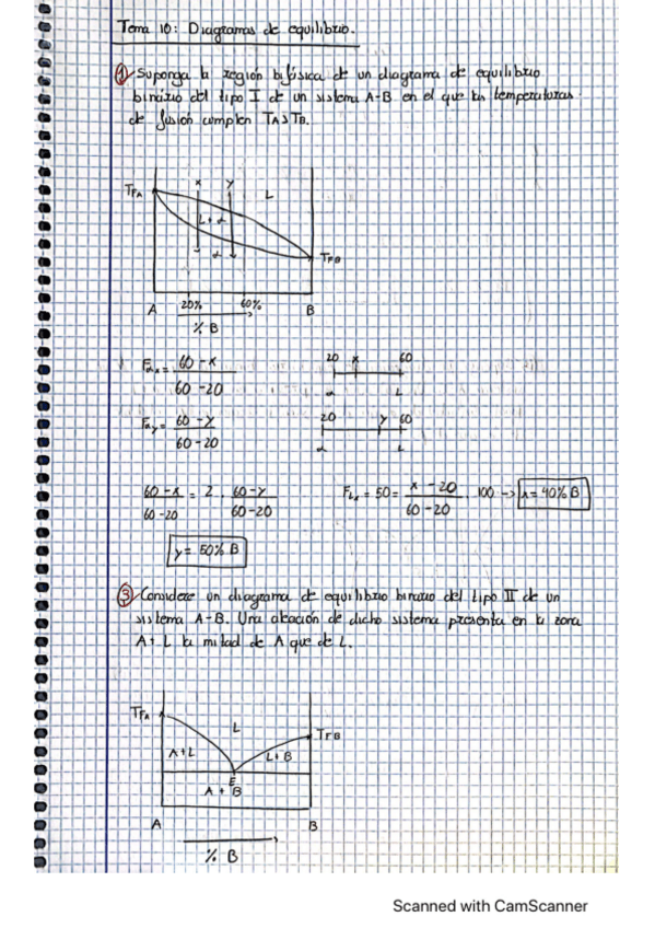 Miniatura del documento Tema-10.pdf
