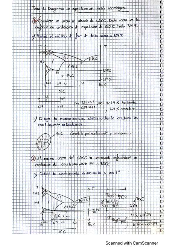 Miniatura del documento Tema-12.pdf
