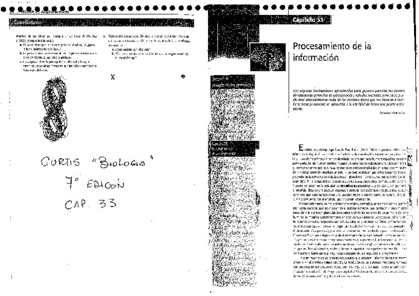 Miniatura del documento Curtis-Cap-33-Procesamiento-de-la-Informacion.pdf