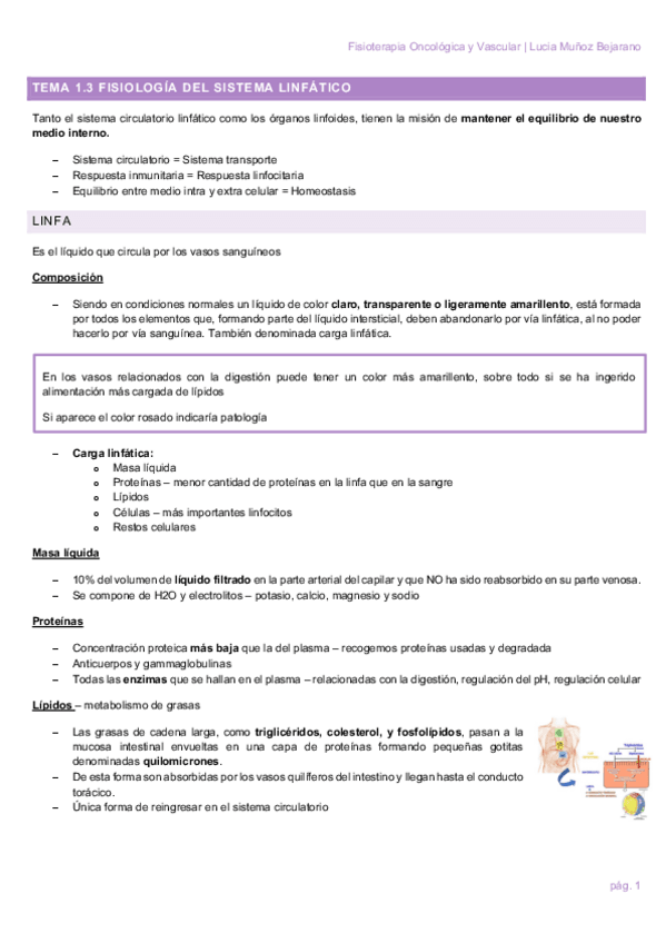 Miniatura del documento TEMA-1.pdf