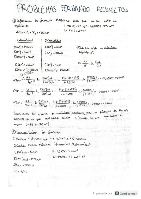Miniatura del documento Problemas resueltos.pdf