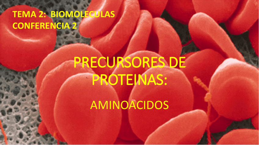 Miniatura del documento Conf.2-Precursores-de-proteinas.pdf