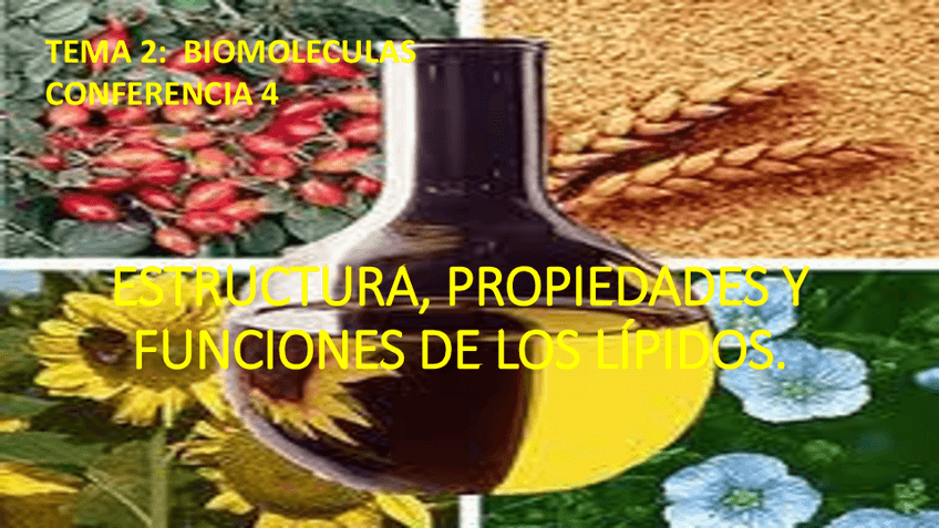 Miniatura del documento Conf.4-Lipidos.pdf