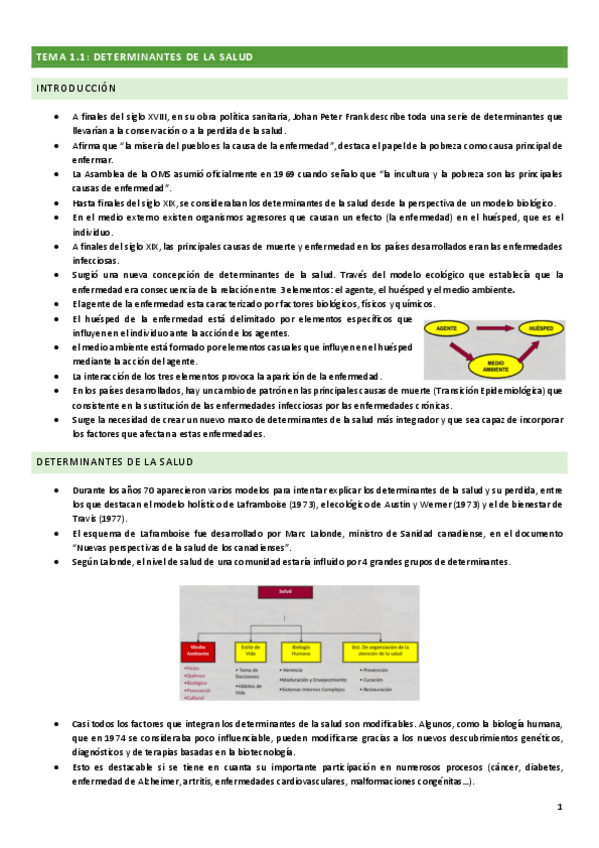 Miniatura del documento TEMA-1-com.pdf