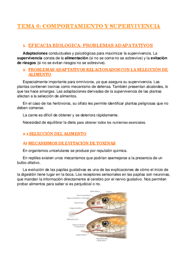 Miniatura del documento TEMA-6-PSICOBIOLOGIA.pdf