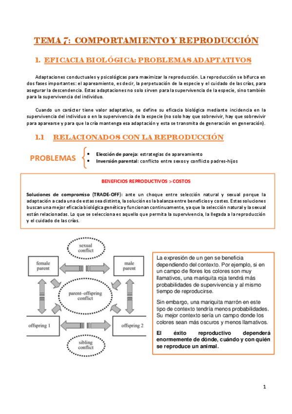 Miniatura del documento TEMA-7-PSICOBIOLOGIA-I.pdf