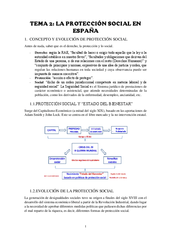 Miniatura del documento TEMA-2DERECHO-DE-LA-PROTECCION-SOCIAL.pdf