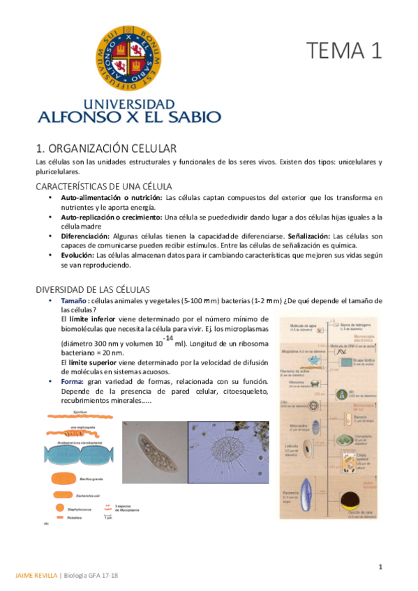 Miniatura del documento TEMA 1.pdf
