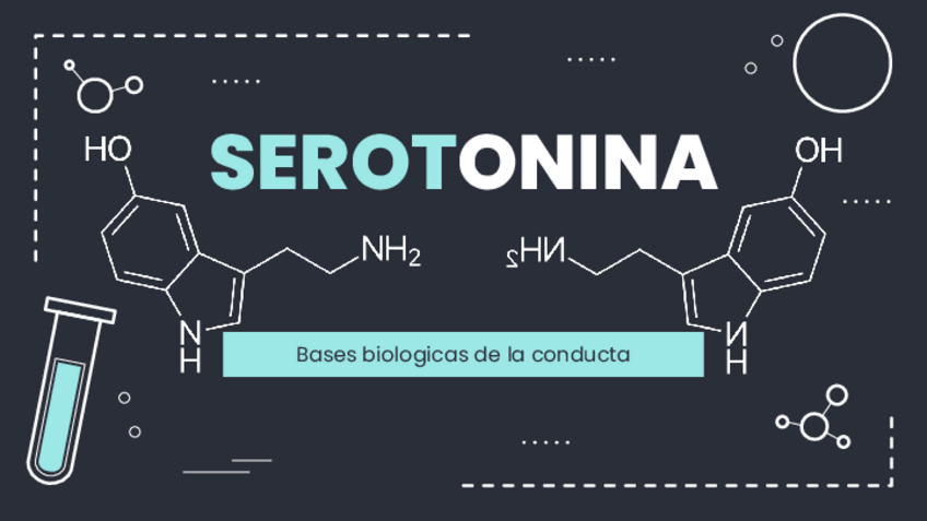 Miniatura del documento Serotonina.pdf