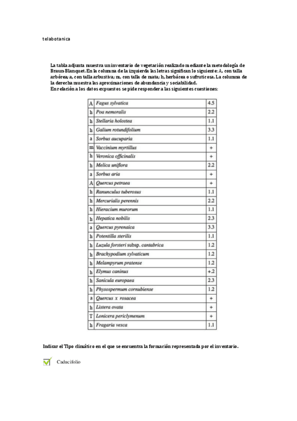 Miniatura del documento Siette-1.pdf
