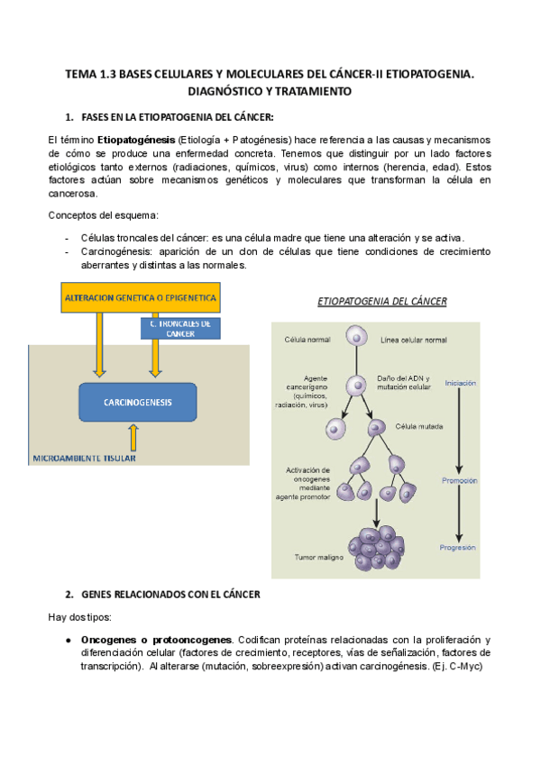 Miniatura del documento TEMA-1.3.docx.pdf