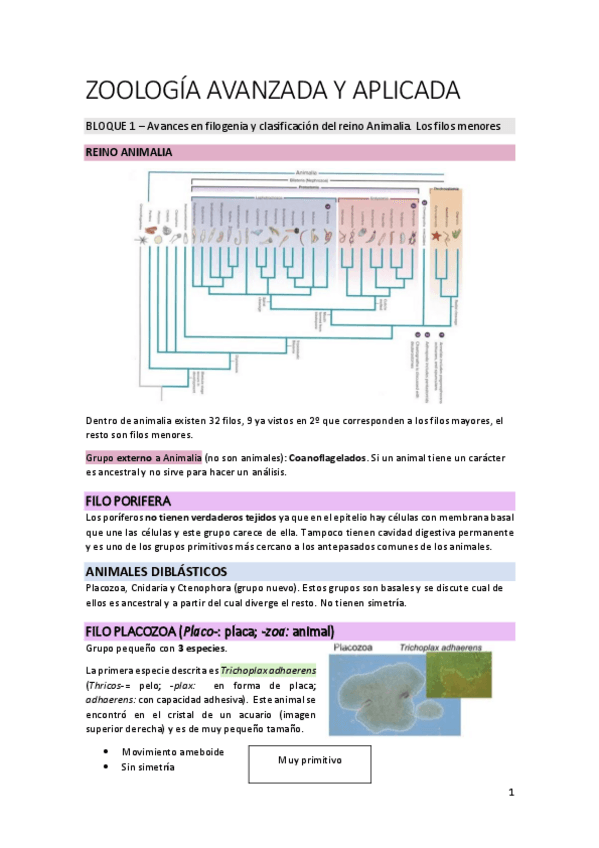 Miniatura del documento Zoologia-3-2021-2022.pdf
