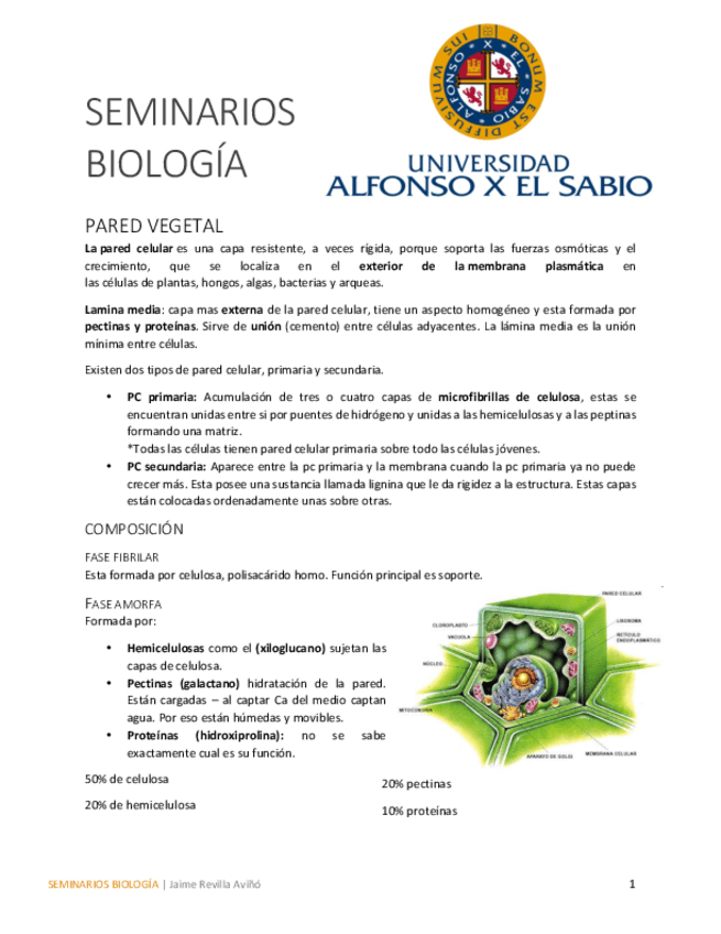 Miniatura del documento Seminarios.pdf