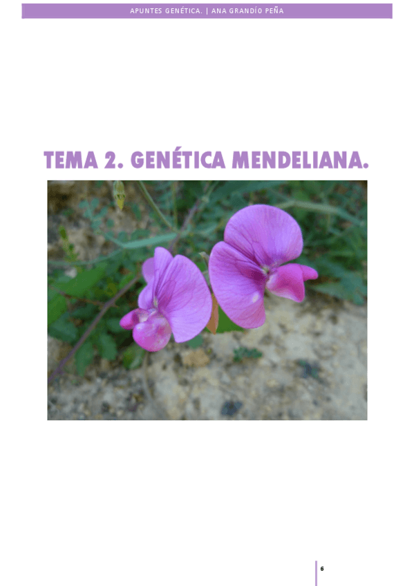 Miniatura del documento APUNTES-XEN-Tema-2.pdf