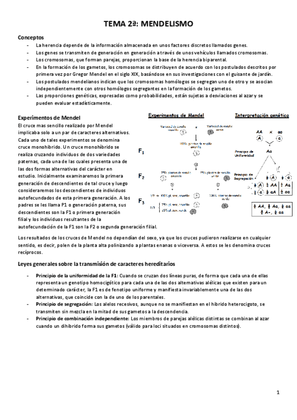 Miniatura del documento TEMA-2a-mendelismo.pdf