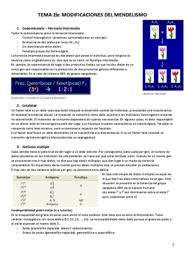 Miniatura del documento tema-2b-ampliacion-del-mendelismo.pdf