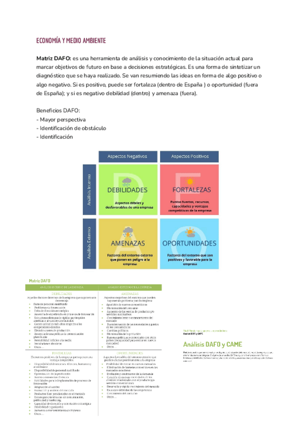 Miniatura del documento DAFO.pdf
