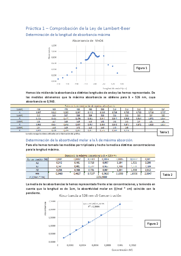 Miniatura del documento Informepracticas.pdf