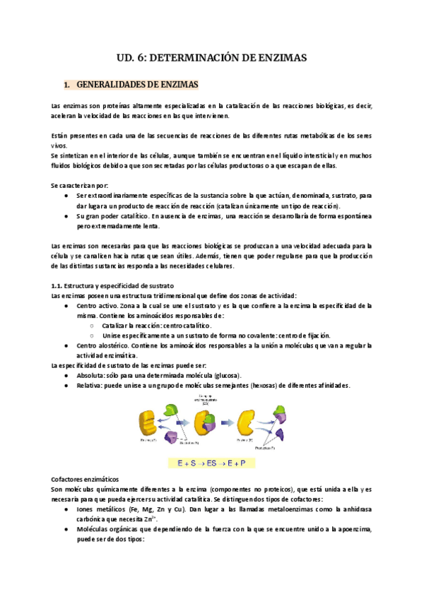 Miniatura del documento UD.6-Determinacion-de-enzimas.pdf