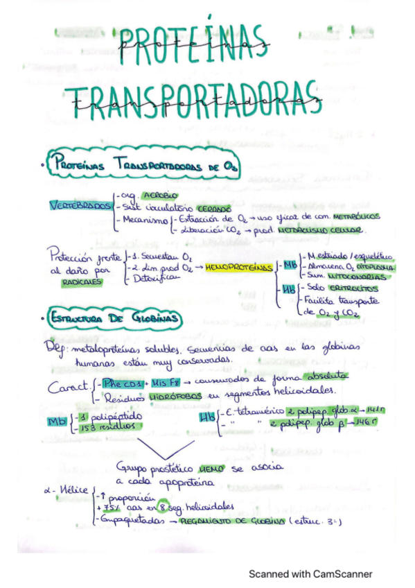 Miniatura del documento T3.pdf