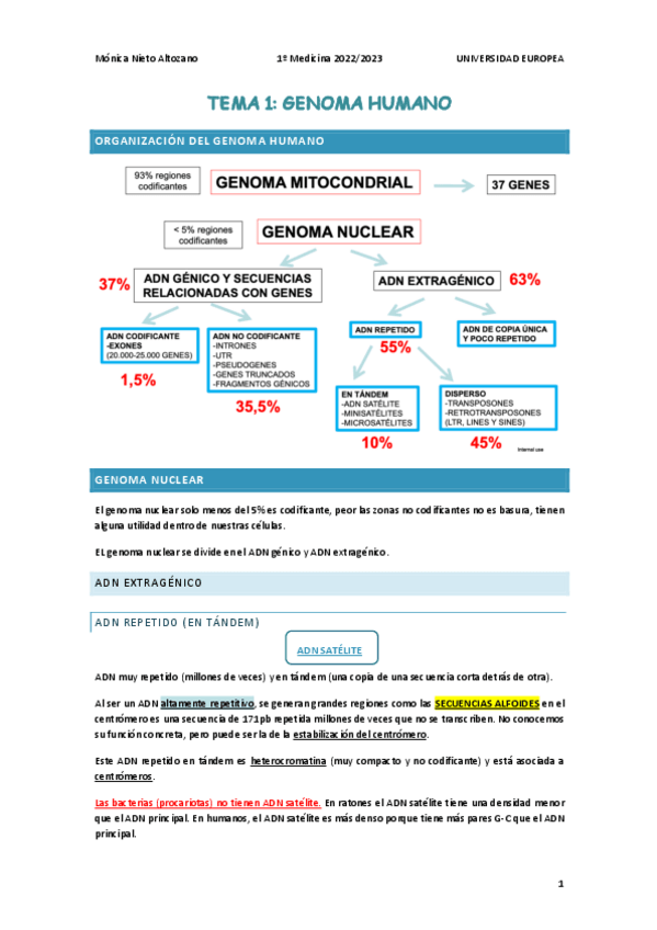 Miniatura del documento TEMA-1.-GENOMA-HUMANO.pdf