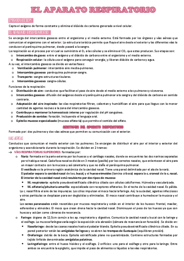 Miniatura del documento t.6.pdf