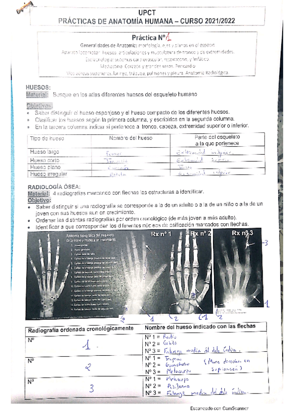 Miniatura del documento PRACTICA-N1.pdf