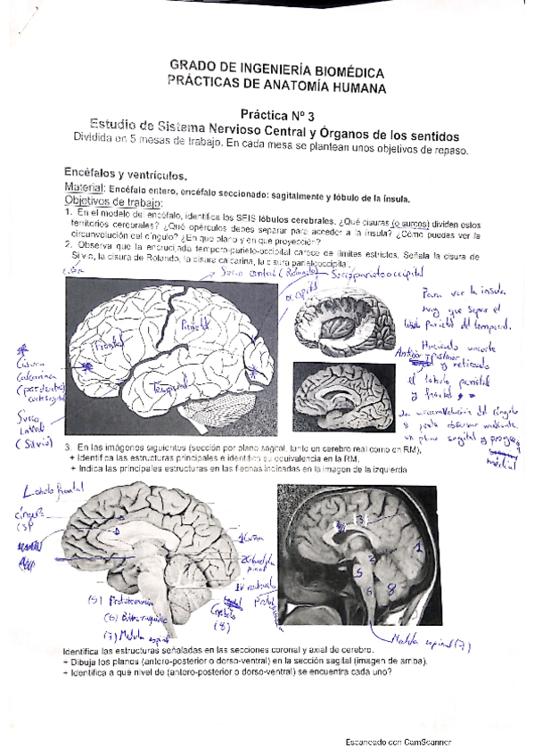 Miniatura del documento PRACTICA-N3.pdf