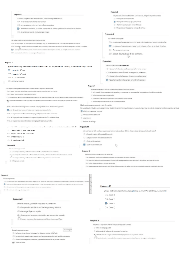 Miniatura del documento EXAMEN-FISIO.pdf