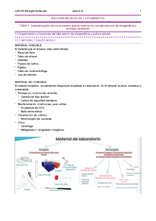 Miniatura del documento 01-BMC-Tema-1-Apuntes-Lena-corregido.pdf