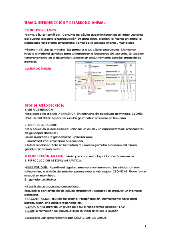 Miniatura del documento TEMA 3 ZOO.pdf
