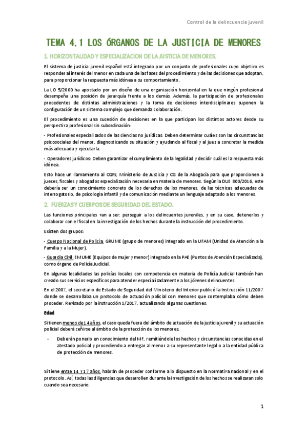 Miniatura del documento TEMA-4.1.-Organos-de-la-justicia-de-menores.pdf