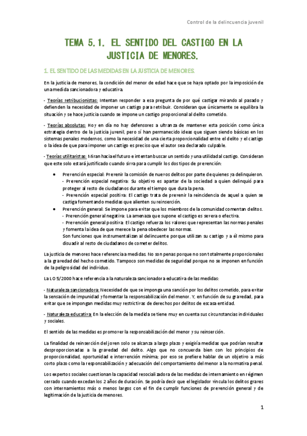 Miniatura del documento TEMA-5.1-El-sentido-del-castigo-en-la-justicia-de-menores.pdf