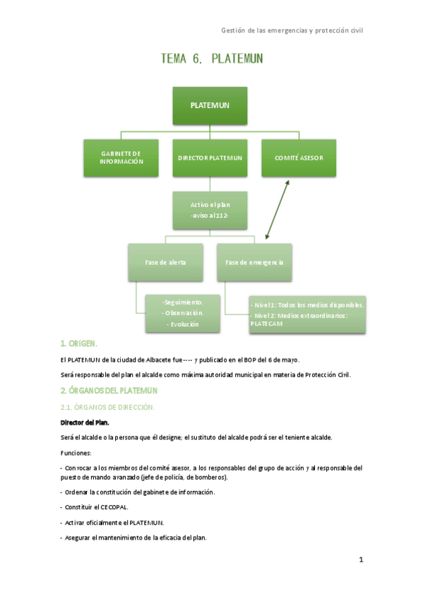 Miniatura del documento TEMA-6.-PLATEMUN.pdf