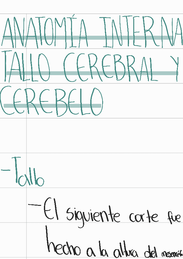 Miniatura del documento Anatomia-interna-tallo-cerebral-y-cerebelo.pdf