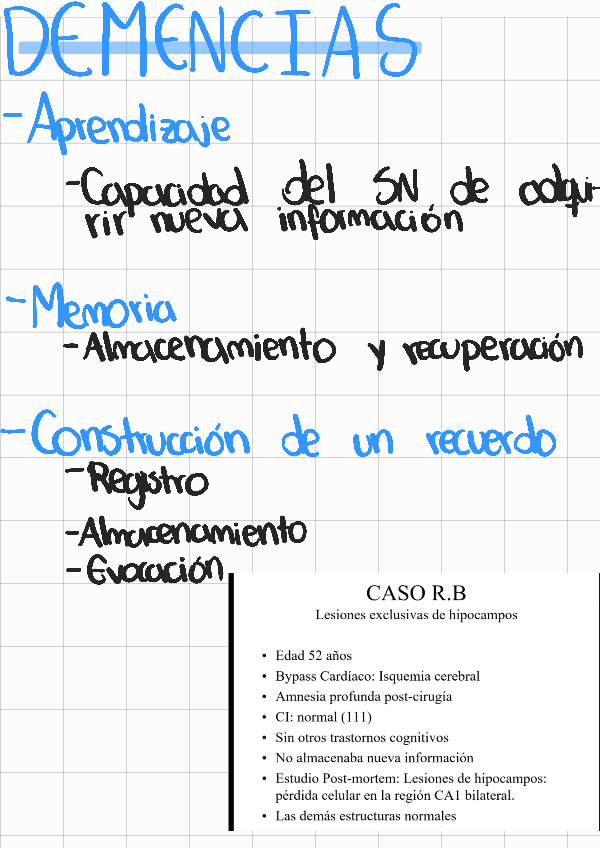Miniatura del documento Demencias.pdf