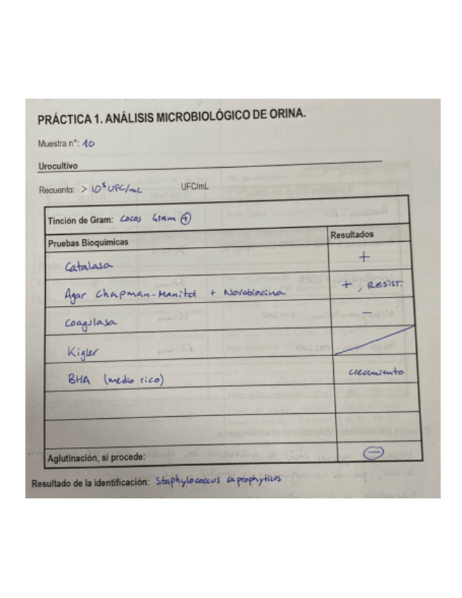 Miniatura del documento Informe-Practicas-Raquel-Y-Victoria.pdf