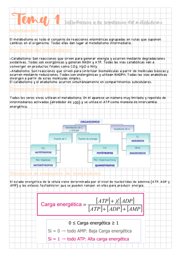 Miniatura del documento Tema-1-Introduccion-a-la-regulacion-del-metabolismo.pdf
