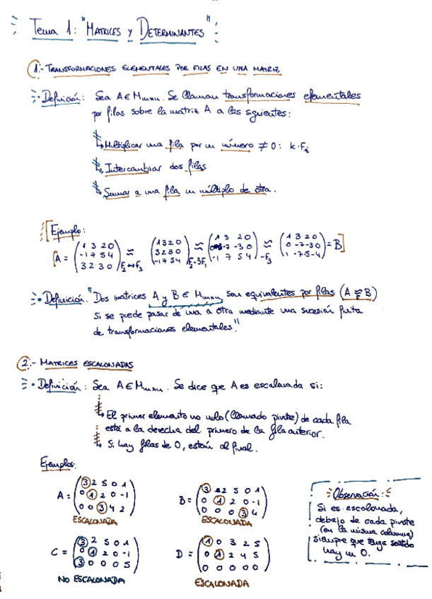 Miniatura del documento Tema-1-Matrices-y-Determinantes-Algebra-y-Geometria.pdf