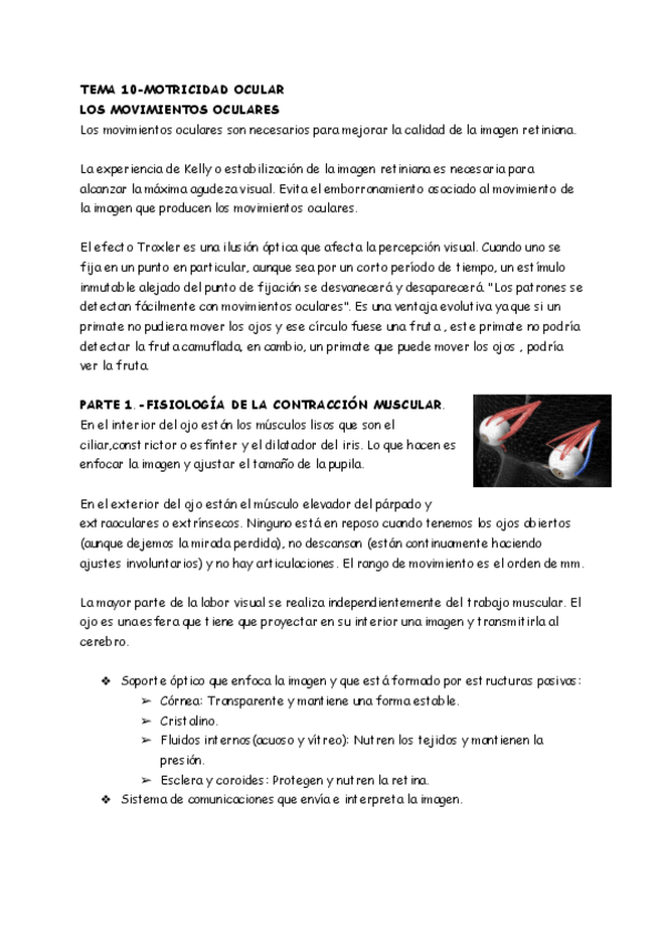 Miniatura del documento FISIO-OCULAR.pdf