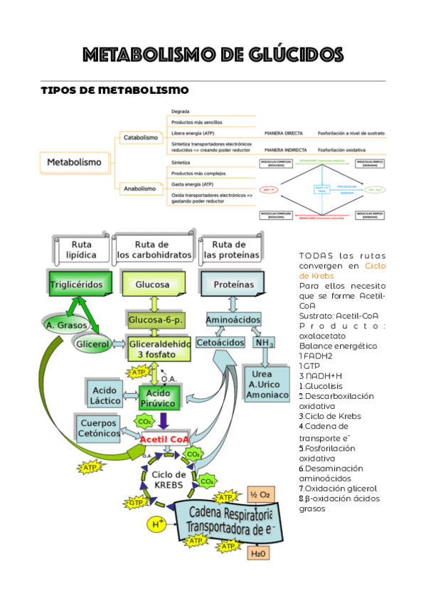 Miniatura del documento TEMA-2.pdf