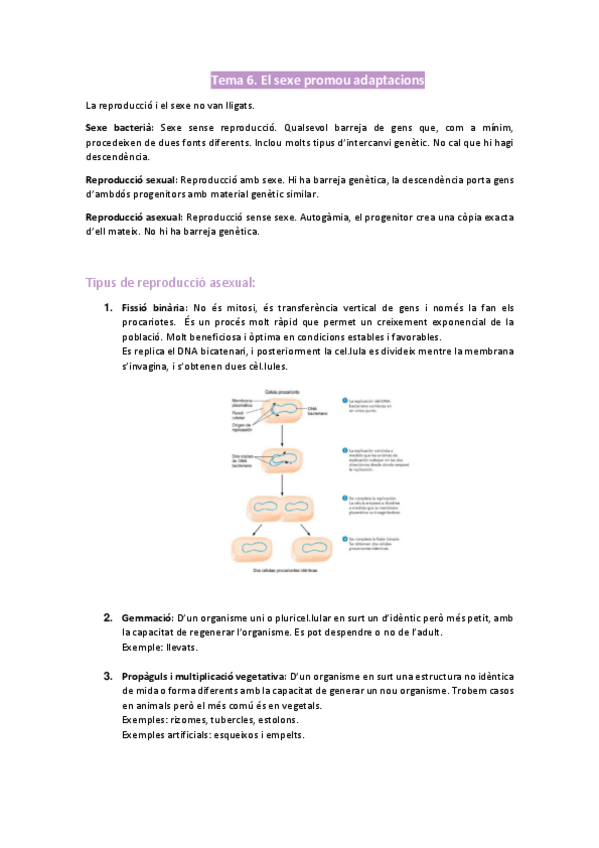Miniatura del documento Bloc-2-biologia-I-T6-8.pdf