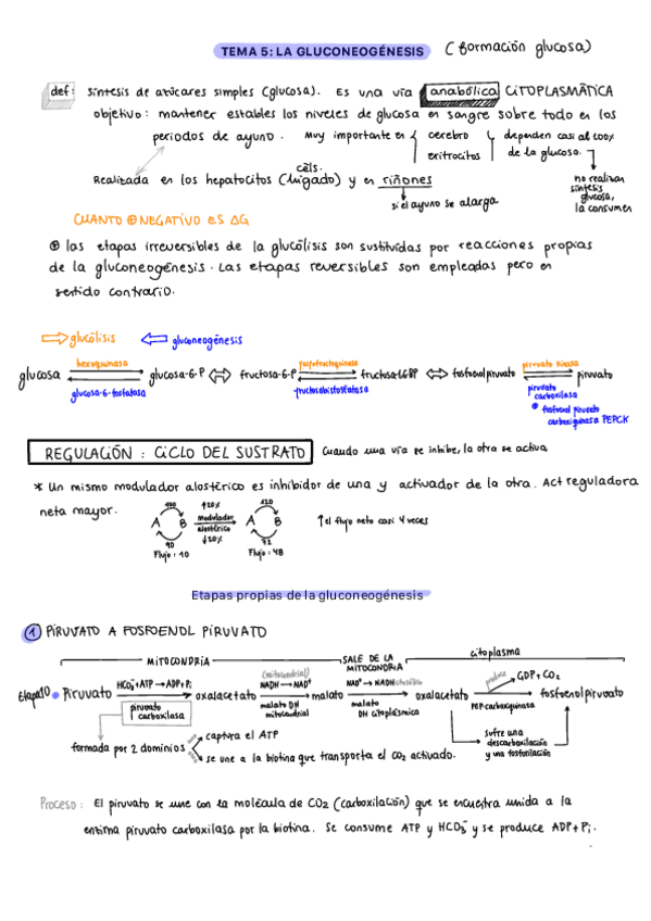 Miniatura del documento T5MyR.pdf