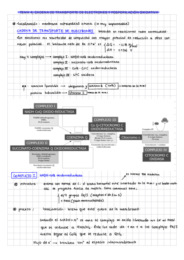 Miniatura del documento T4-MyR.pdf